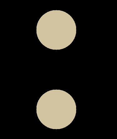 Torus cross-section capture